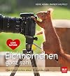 Eichhörnchen ganz nah