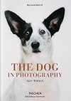 The Dog in Photography / Der Hund In Der Fotografie / Le Chien Dans La Photographie: 1839-today