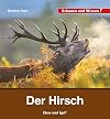 Der Hirsch: Schauen und Wissen!