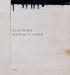 Brice Marden: Paintings On Marble