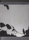 Collier Schorr: Blumen