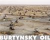 Burtynsky: Oil
