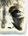 David Bailey: Tears and Tears