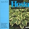 Hosta. Funkie. Dekoratives Blattwerk für Gärten und Sträuße