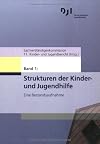 Materialien zum 11. Kinder- und Jugendbericht: Strukturen der Kinder- und Jugendhilfe: Eine Bestandsaufnahme