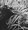 Jim Dine: Birds