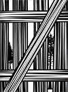 Paul Morrison: Chloroplast