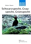 Schwarzspecht, Grauspecht, Grünspecht : Dryocopus martius, Picus canus, Picus viridis