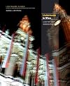 Lichtraeume in Wien: Lichter der Grossstadt