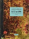 Blitz und Koma: Materialien zur Tiroler Gegenwartsliteratur 2000 bis 2014