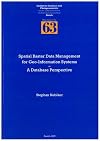 Spatial Raster Data Management for Geo-Information Systems: A Database Perspective