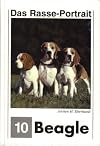 Beagle (Rasse-Portrait)