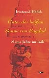 Unter der heißen Sonne von Bagdad. Meine Jahre im Irak