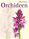 Orchideen: Die Orchideen Mitteleuropas und der Alpen