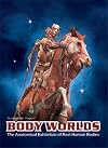 Body Worlds: The Original Exhibition of Real Human Bodies