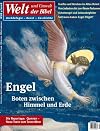 Welt und Umwelt der Bibel / Engel: Boten zwischen Himmel und Erde: HEFT 50(4/2008)