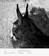 Jo Ractliffe: Photographs 1980s&ndash;Now