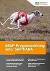 ABAP-Programmierung unter SAP HANA