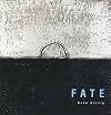 Fate : Bodo Korsig = Encaustic Paintings