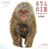 おサルの王国 地獄谷野猿公苑の四季