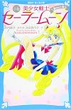 Pretty Guardian Sailor Moon Novel, Vol. 1: Chosen Warrior
