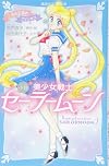 Pretty Guardian Sailor Moon Novel, Vol. 2: Princess of the Moon Kingdom