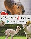 くらべよう! どうぶつの赤ちゃん: 5 カピバラ・アルパカ