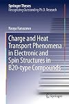 Charge and heat transport phenomena in electronic and spin structures in B20-type compounds