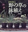 四季を楽しむ 野の草の鉢植え