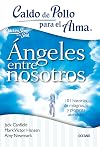 Caldo de pollo para el alma: ángeles entre nosotros