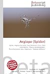 Argiope (Spider)