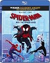 Spider-Man: Into the Spider-Verse [2018 film]
