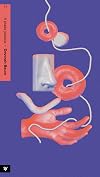 A Piada Juda&iacute;ca: Um ensaio com exemplos (Pouco ensaio, muitos exemplos) [paperback] Baum, Devorah and Sette-C&acirc;mara, Pedro