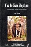 The Indian Elephant Endangered in the Land of Lord Ganesha (NCSTC Hornbill natrual history series)