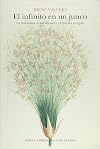 Papyrus: The Invention of Books in the Ancient World