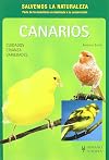 CanΓ‘rios - cuidados, crianza, variedades
