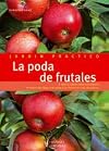 La poda de frutales cómo y cuándo podar cada especie : plantas más sanas, más bellas y con floraciones más abundantes