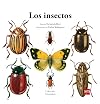 Los insectos