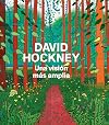 David Hockney: Una visión más amplia