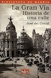 La Gran Vรญa : historia de una calle