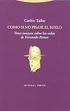 Como si no pisase el suelo trece ensayos sobre las vidas de Fernando Pessoa