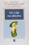 Vo Caiu Na Piscina