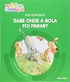 Sabe onde a bola foi parar?