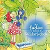 Fadas nos Falam de... Solidariedade, As