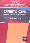 Direito civil: atualidades III: princípios jurídicos no direito privado