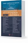 Temas relevantes no direito de energia elétrica