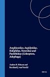 World Catalogue of Insects: Vol. 7, Amphizoidae, Aspidytidae...