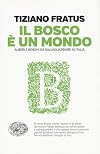 Il bosco Γ¨ un mondo: alberi e boschi da salvaguardare in Italia