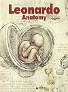 Leonardo da Vinci Anatomy of the Human Body