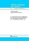 Il danno da insidia o trabocchetto